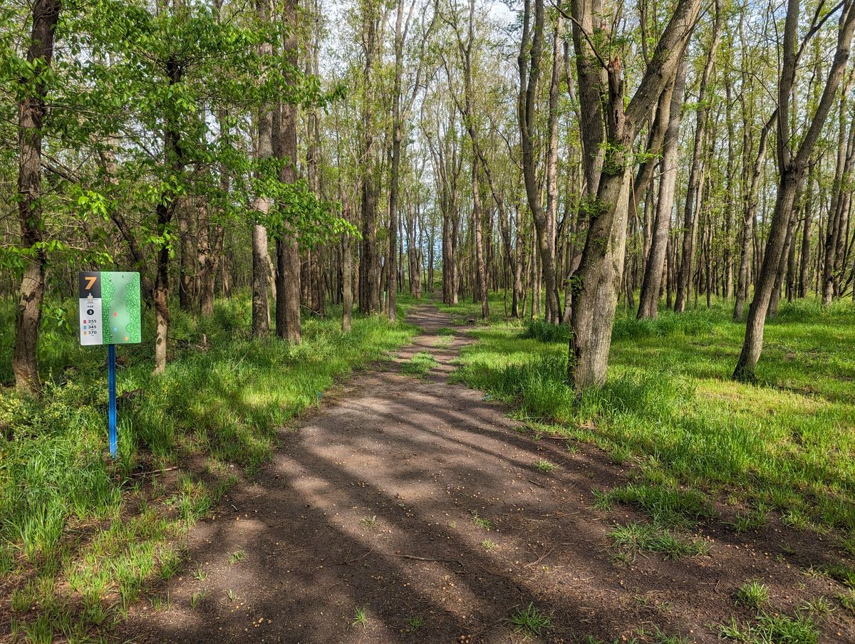 Hole 7