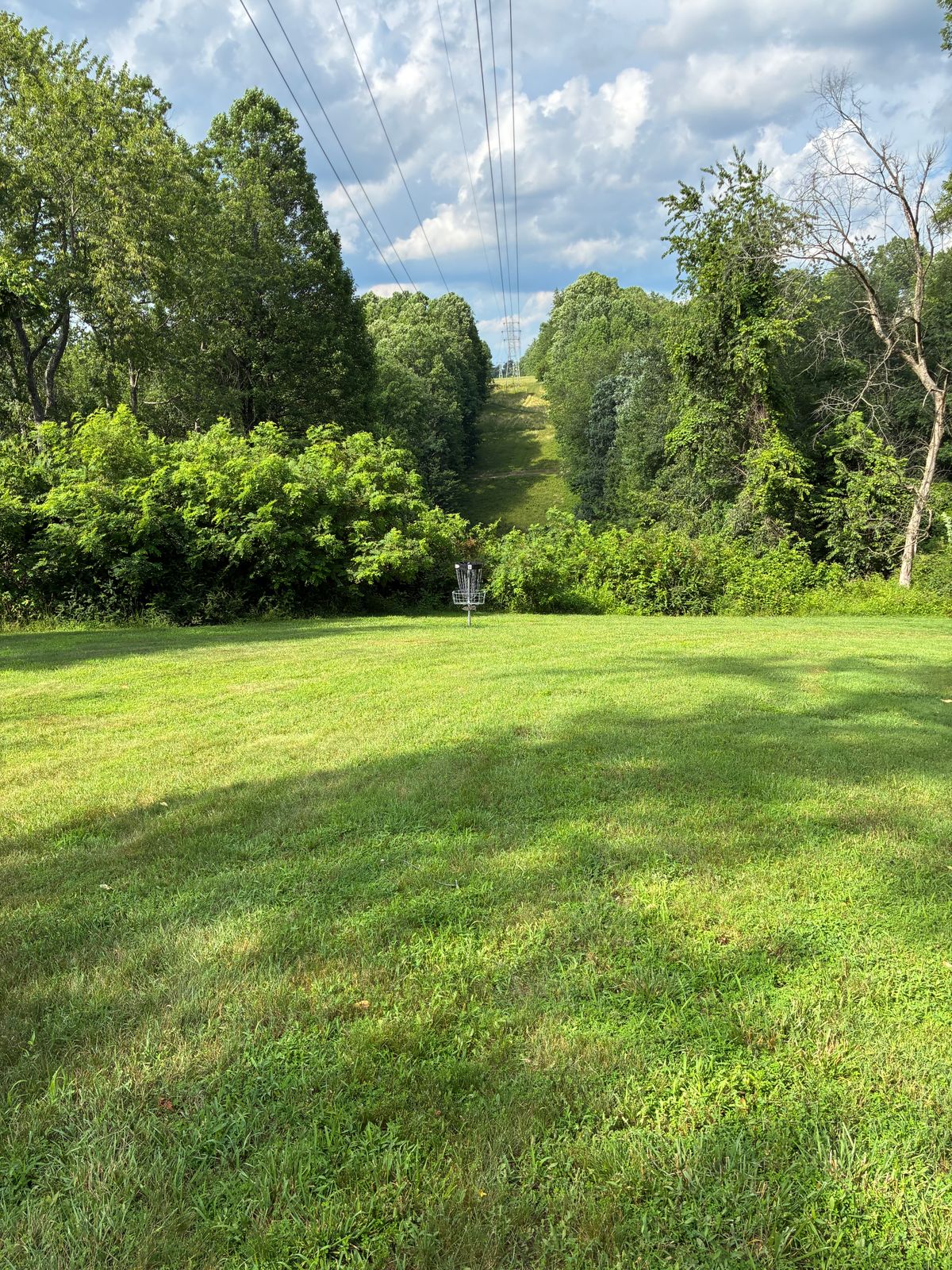 #16 fairway toward basket