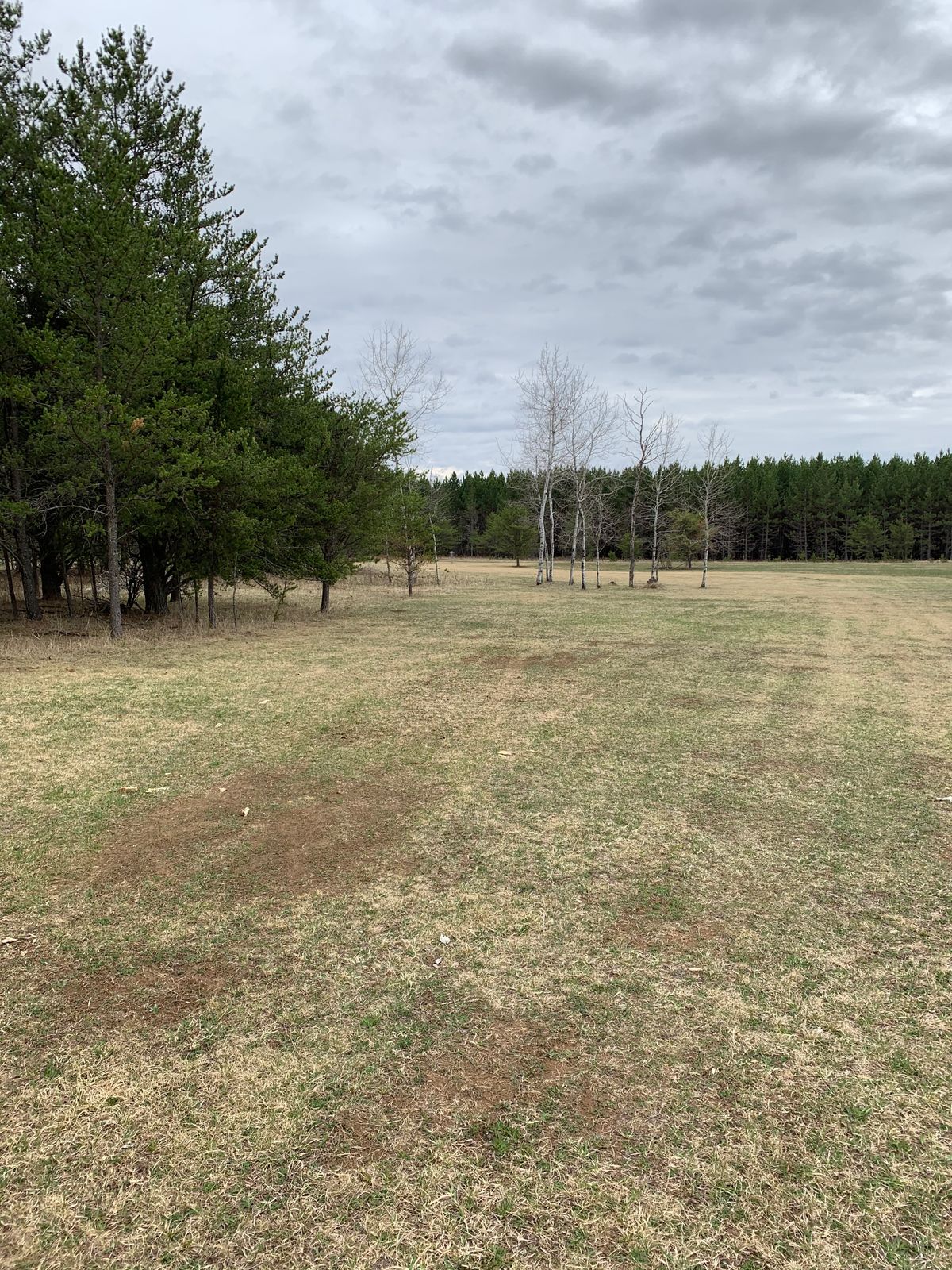 Hole 5 tee box (short)