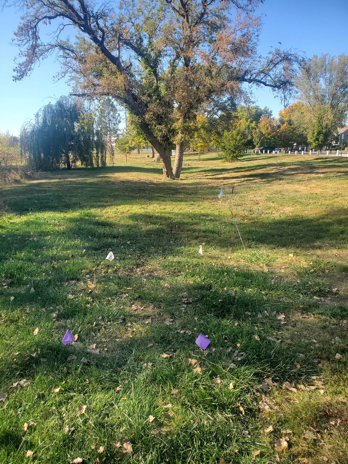 Hole 2