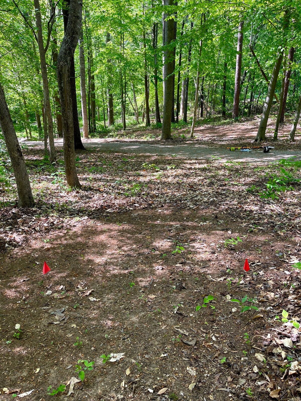 Hole 1 Red