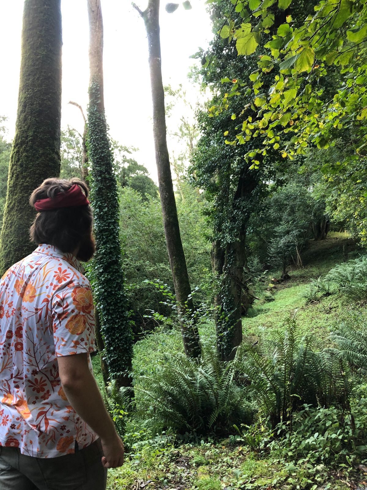 Endor