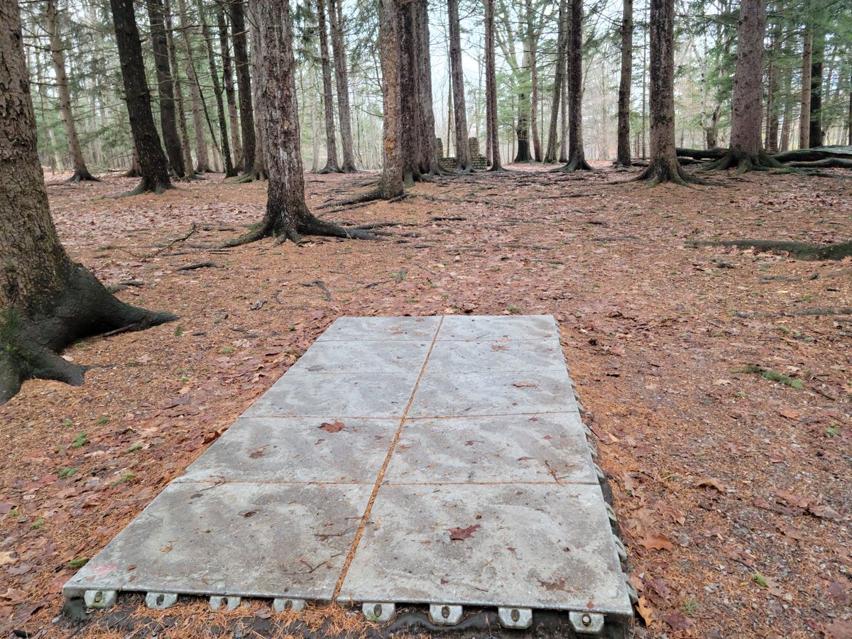 Hole 7 tee pad.
