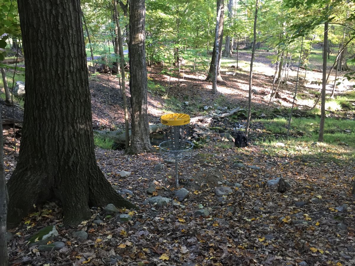 Hole #11