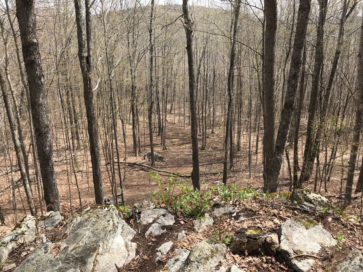 Hole 14