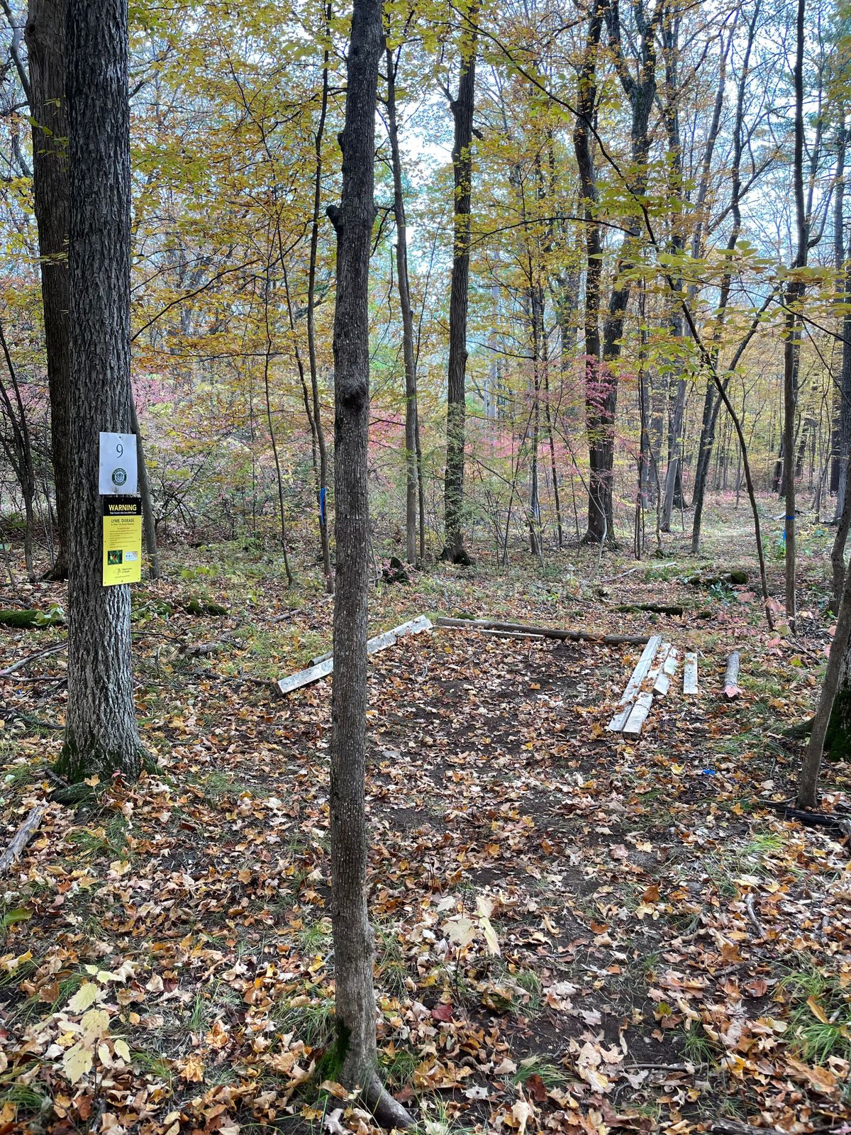 Hole 9 Unfinished Tee Box