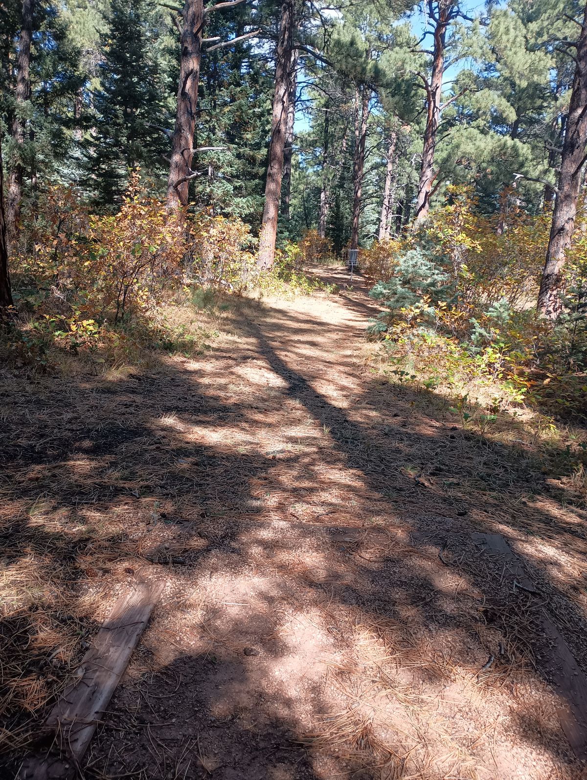 Hole 6 Tee