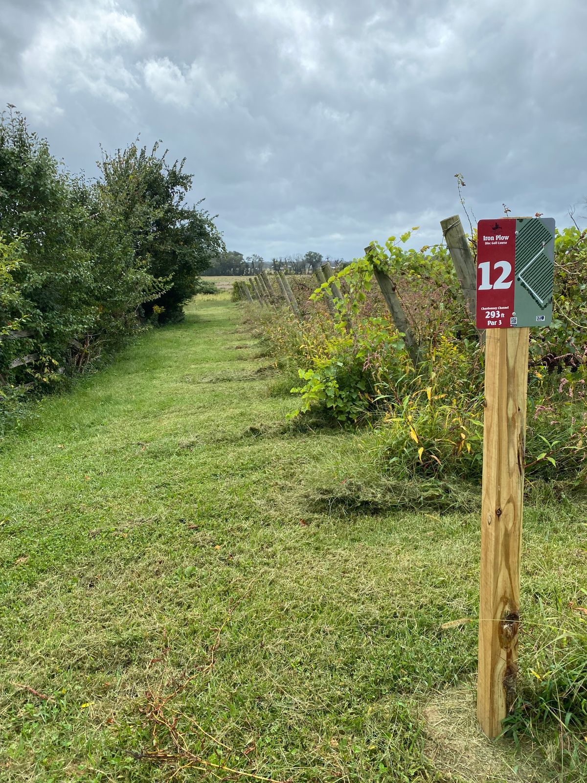 Hole 12