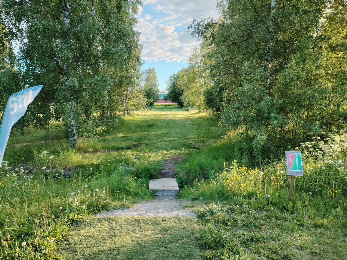 Hole 3