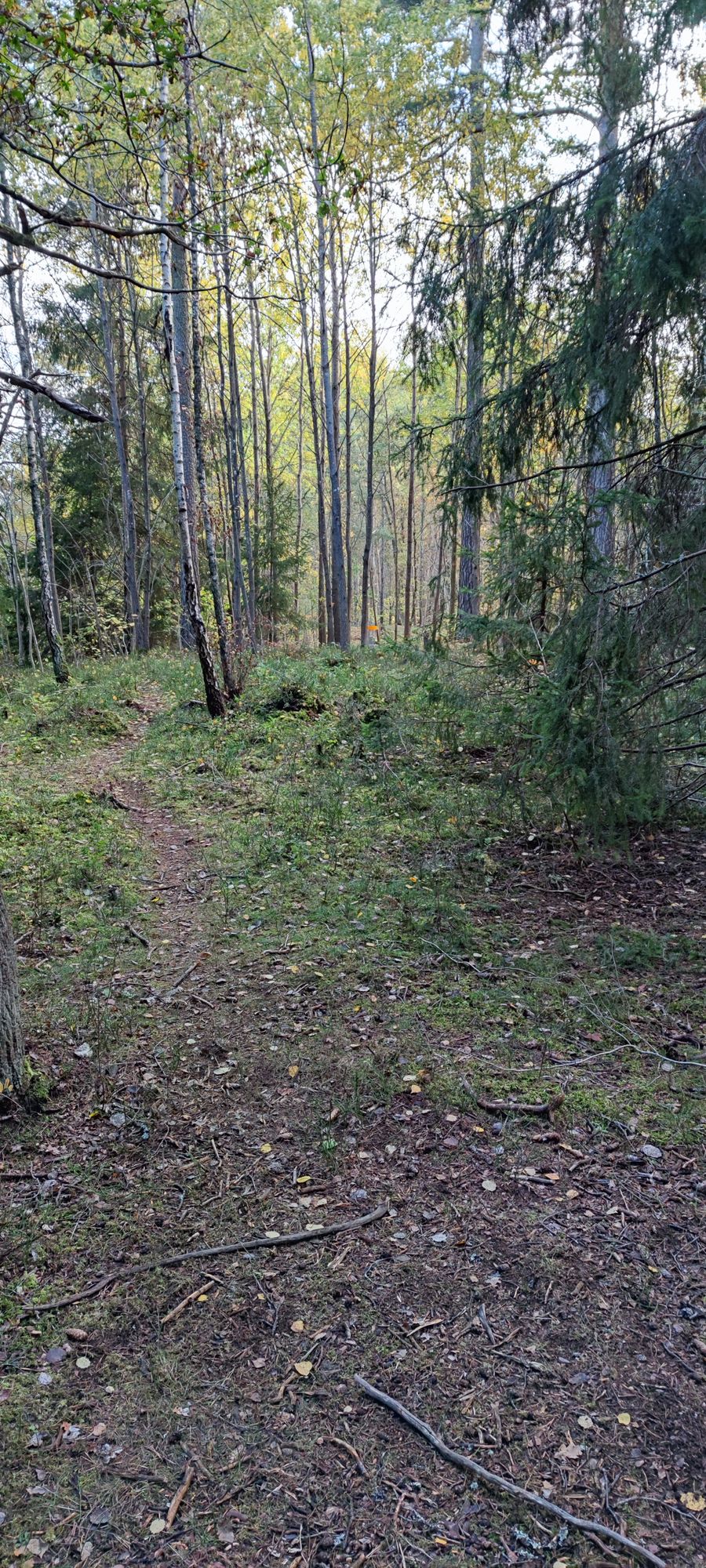 Hål 4