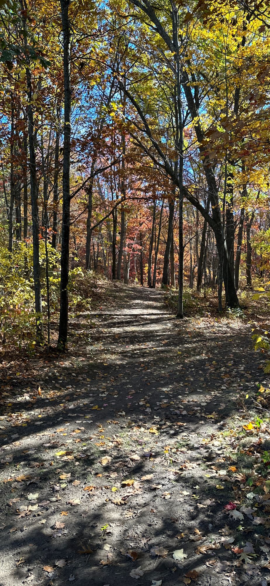 Hole 2 October 22nd