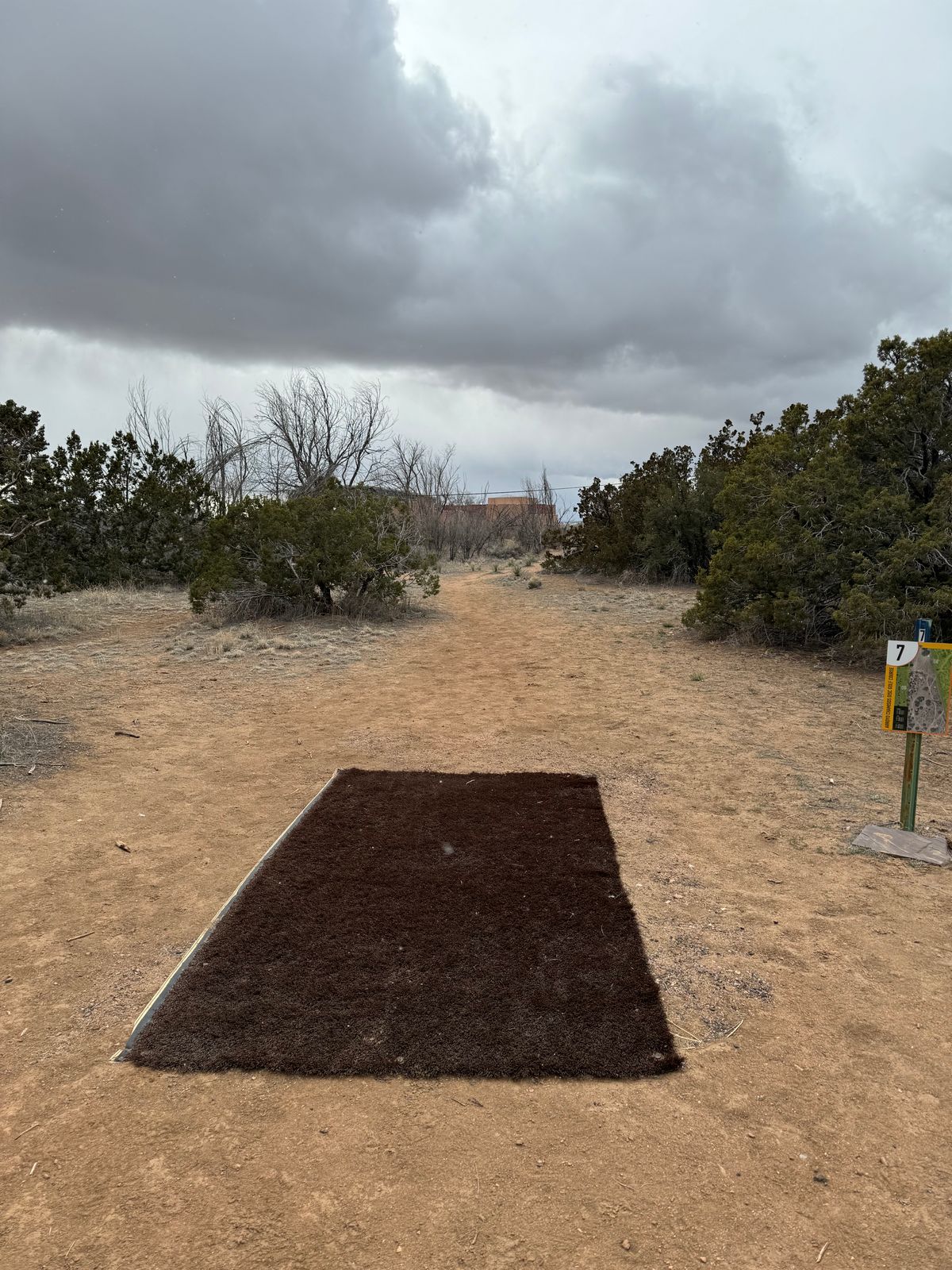 Hole 7 Tee