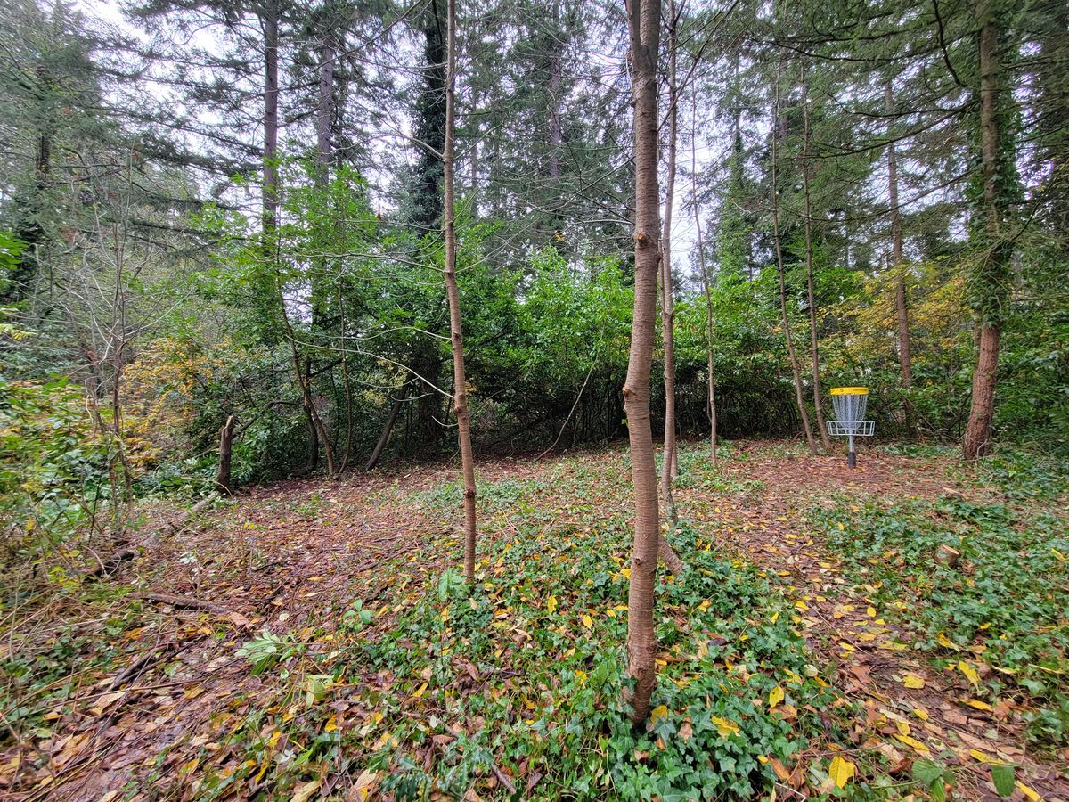 Hole 5/14 basket