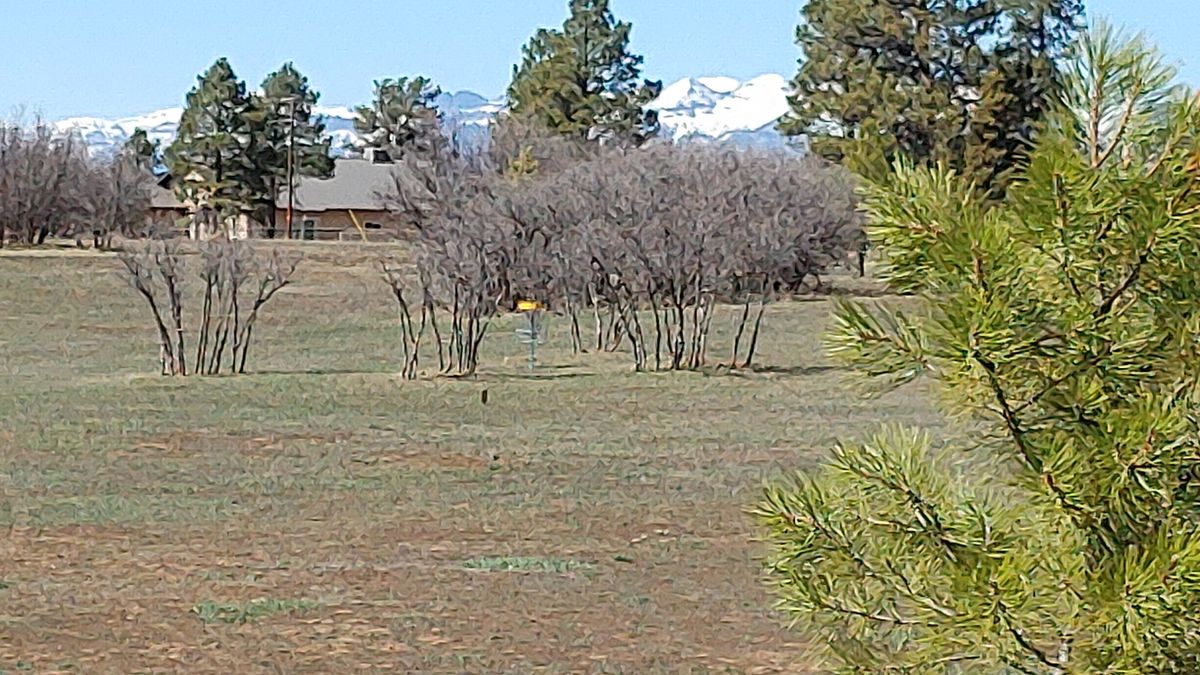 Elk Hill Pagosa Springs, CO UDisc Disc Golf Course Directory