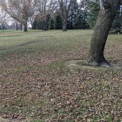 Tee #7