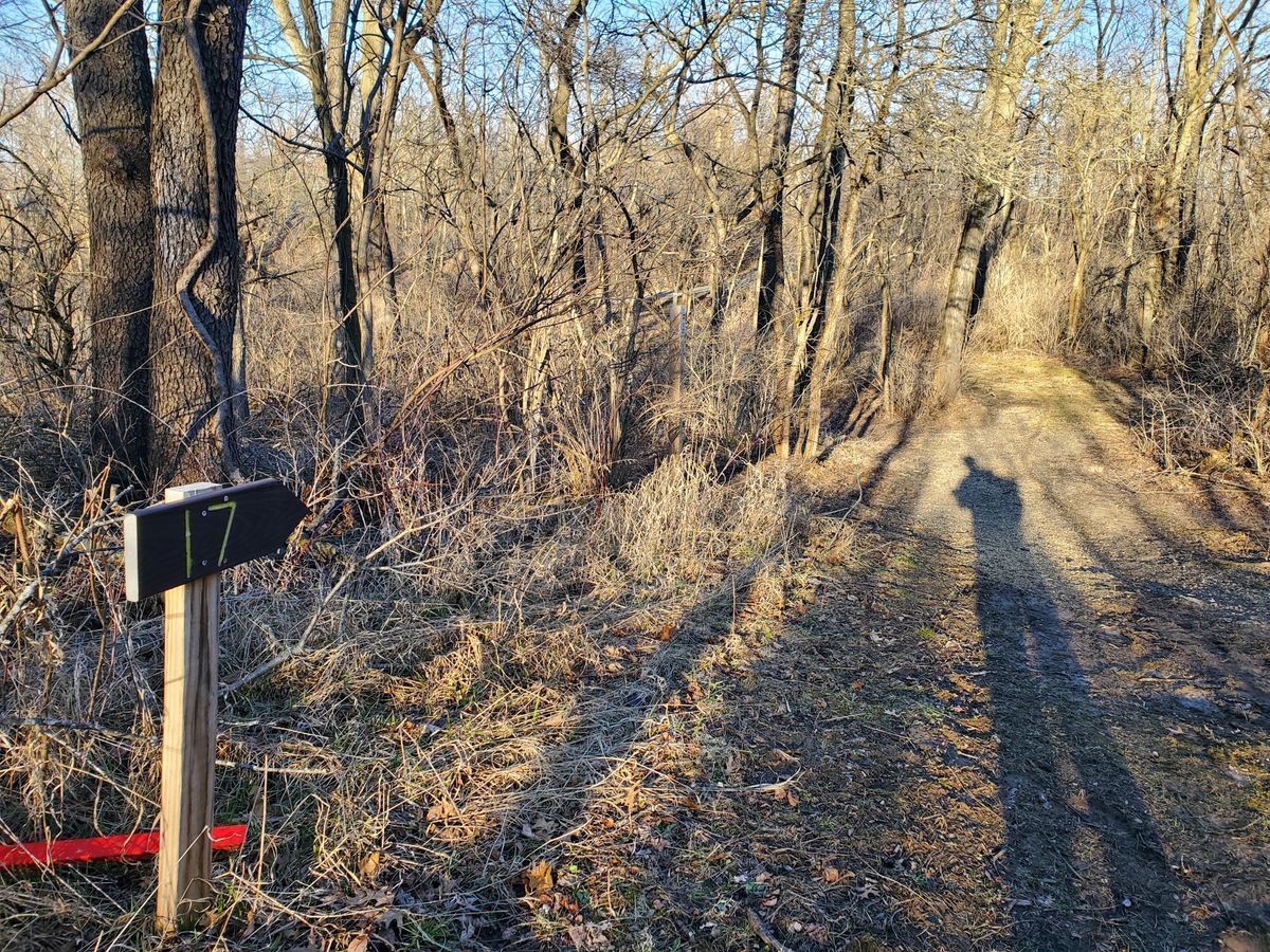 The long path to hole 17