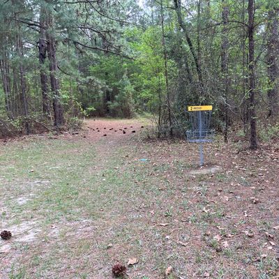 Hole 2 approach