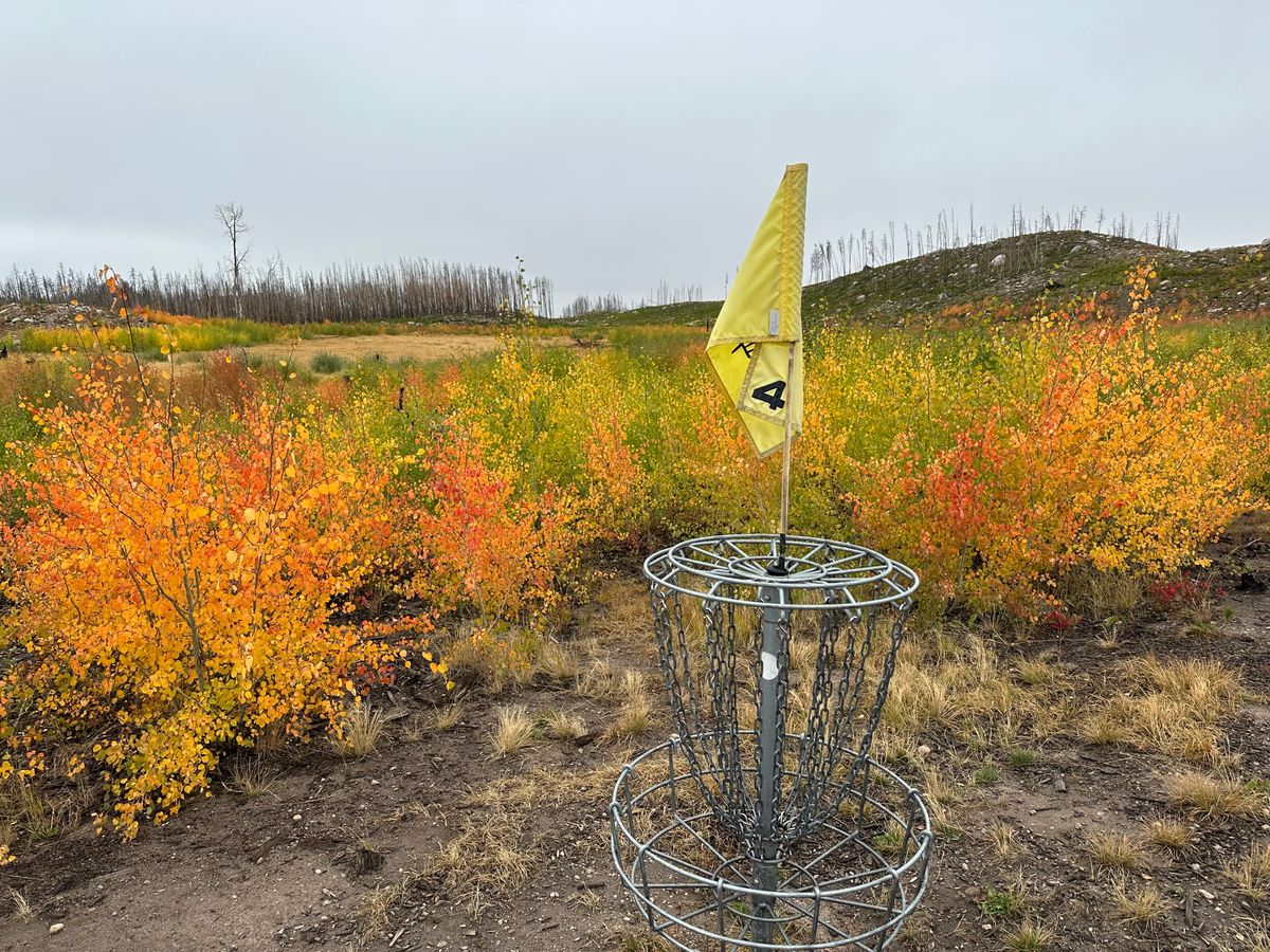 #4 in the fall. The aspens are coming back.