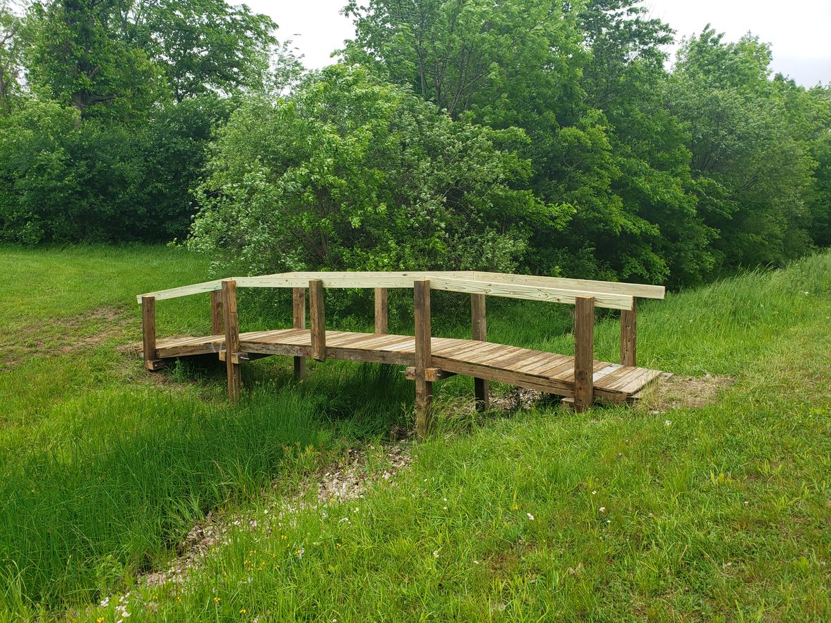 Bridge after 19