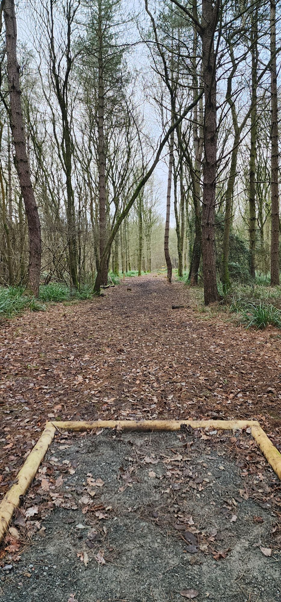 Hole #3 (Winter)
