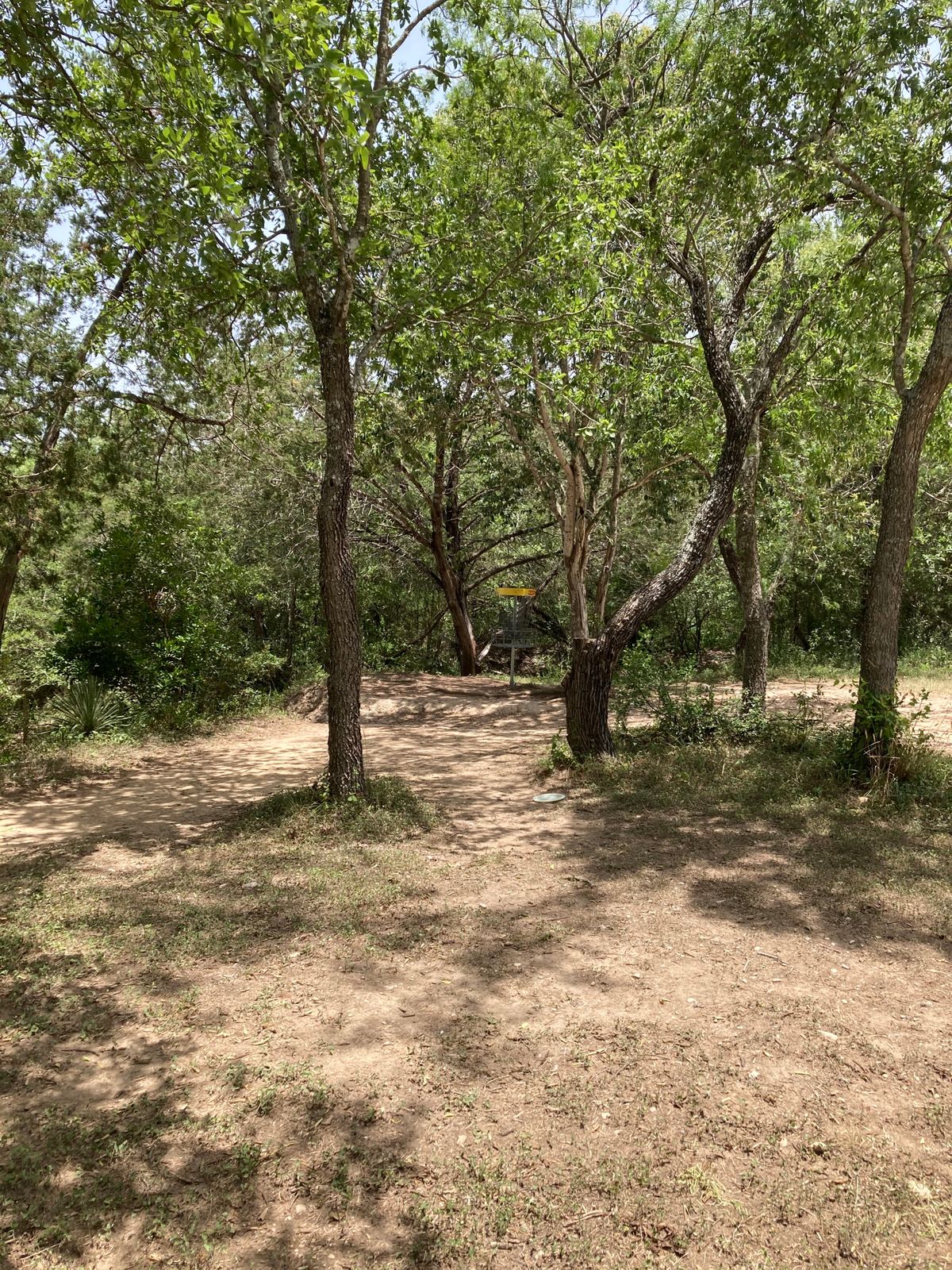 Island putt