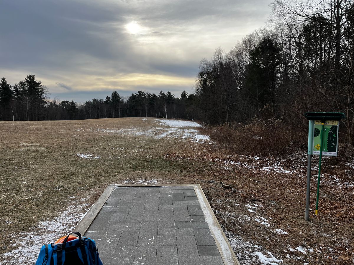 Hole 7 teepad