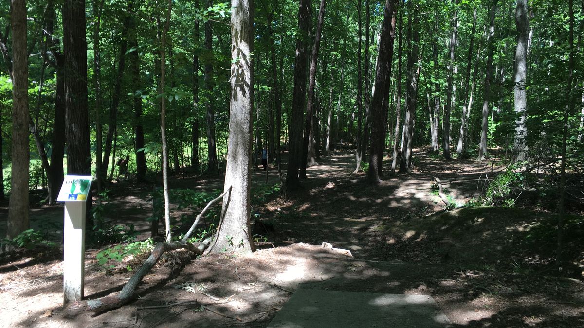 Hole 10
