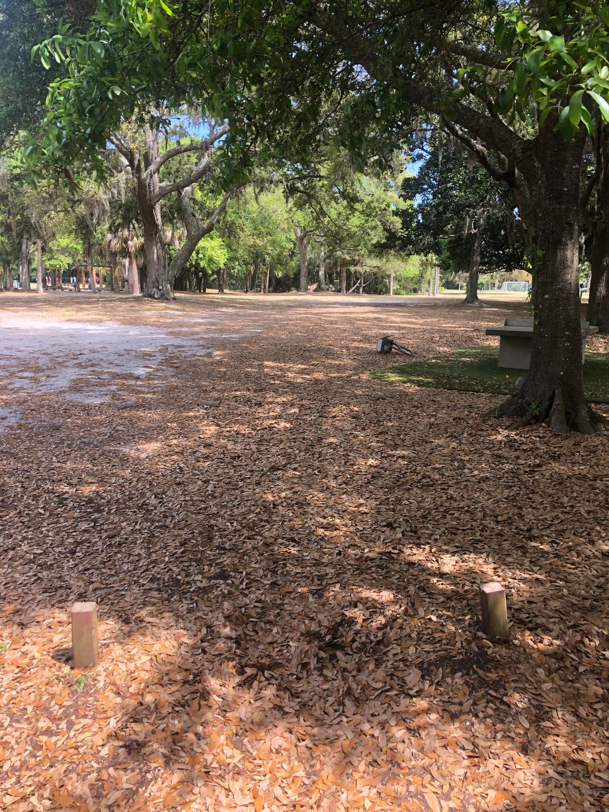 Tee box at 1