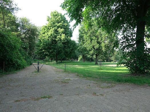 Tee 15