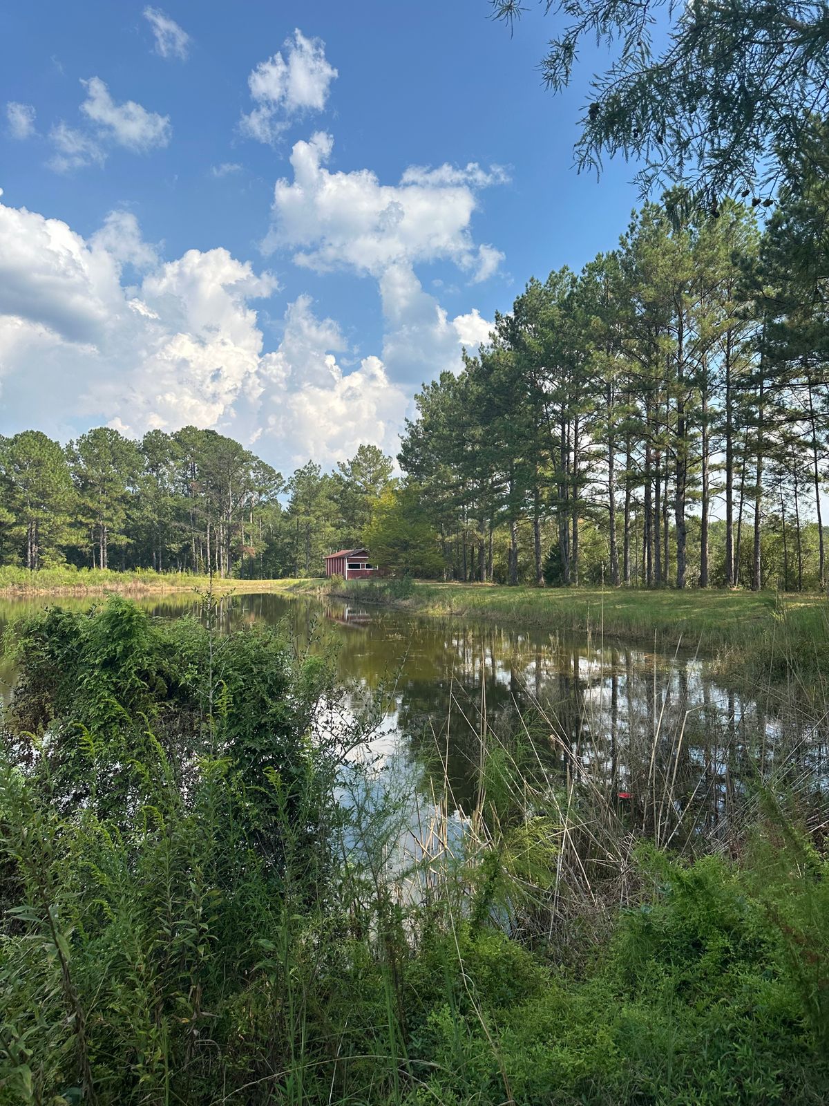 Hole 2/11