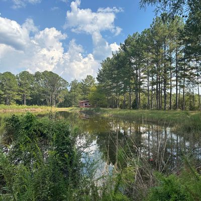 Hole 2/11