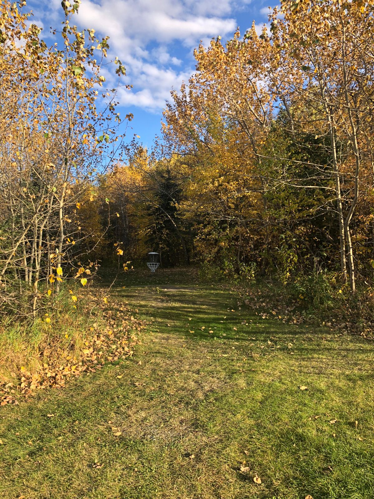 Hole 4