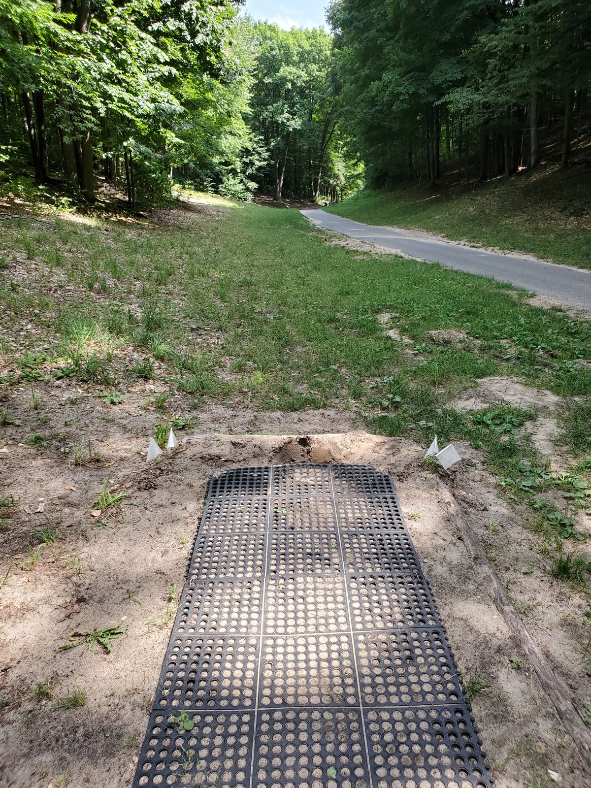 Hole 5 tee pad