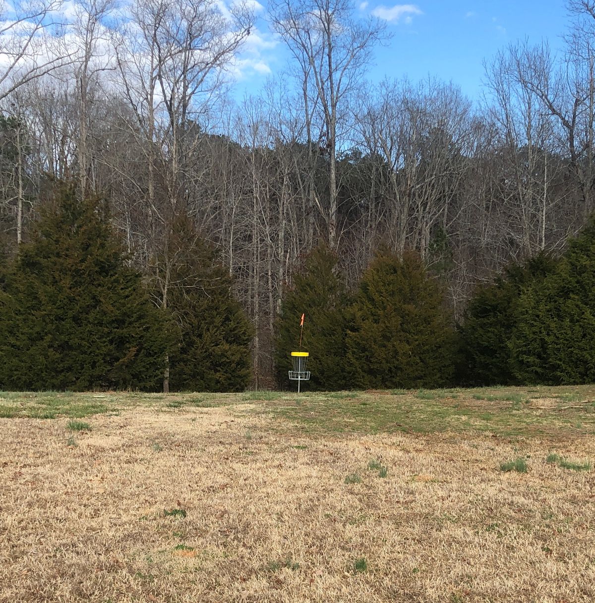 Hole 1 Basket