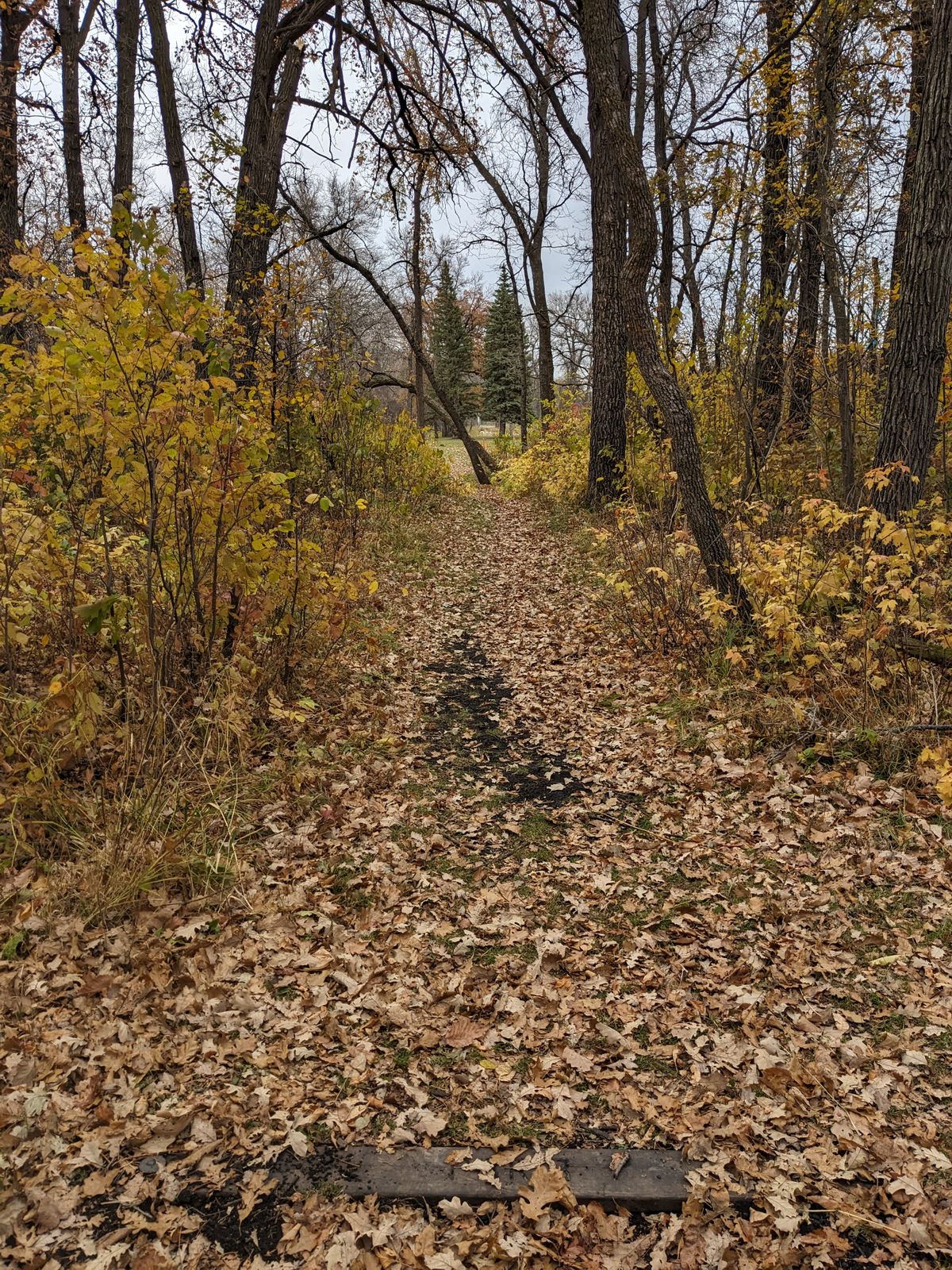 Hole 12 longs on a fall day