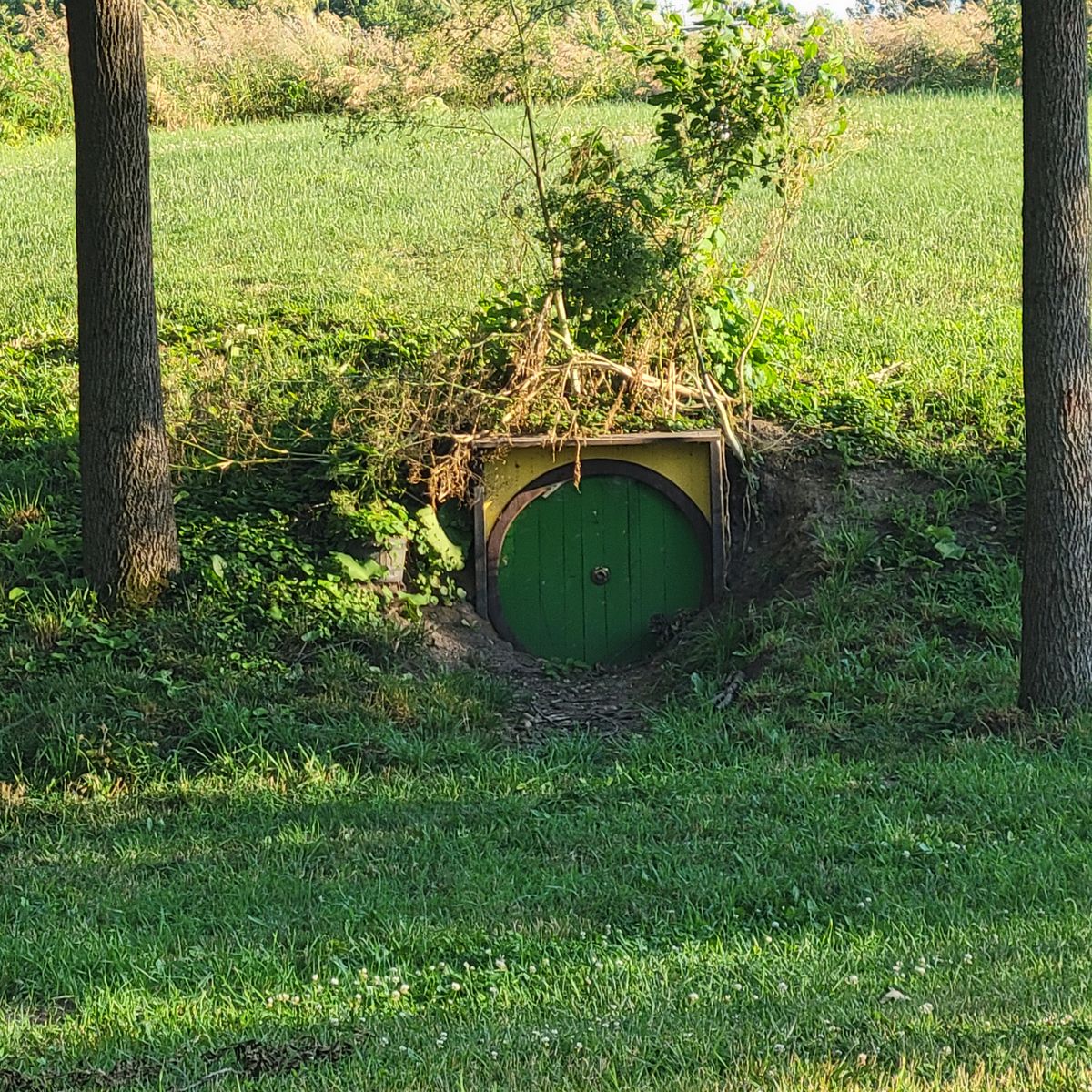 Lovely hobbit hole at basket 15