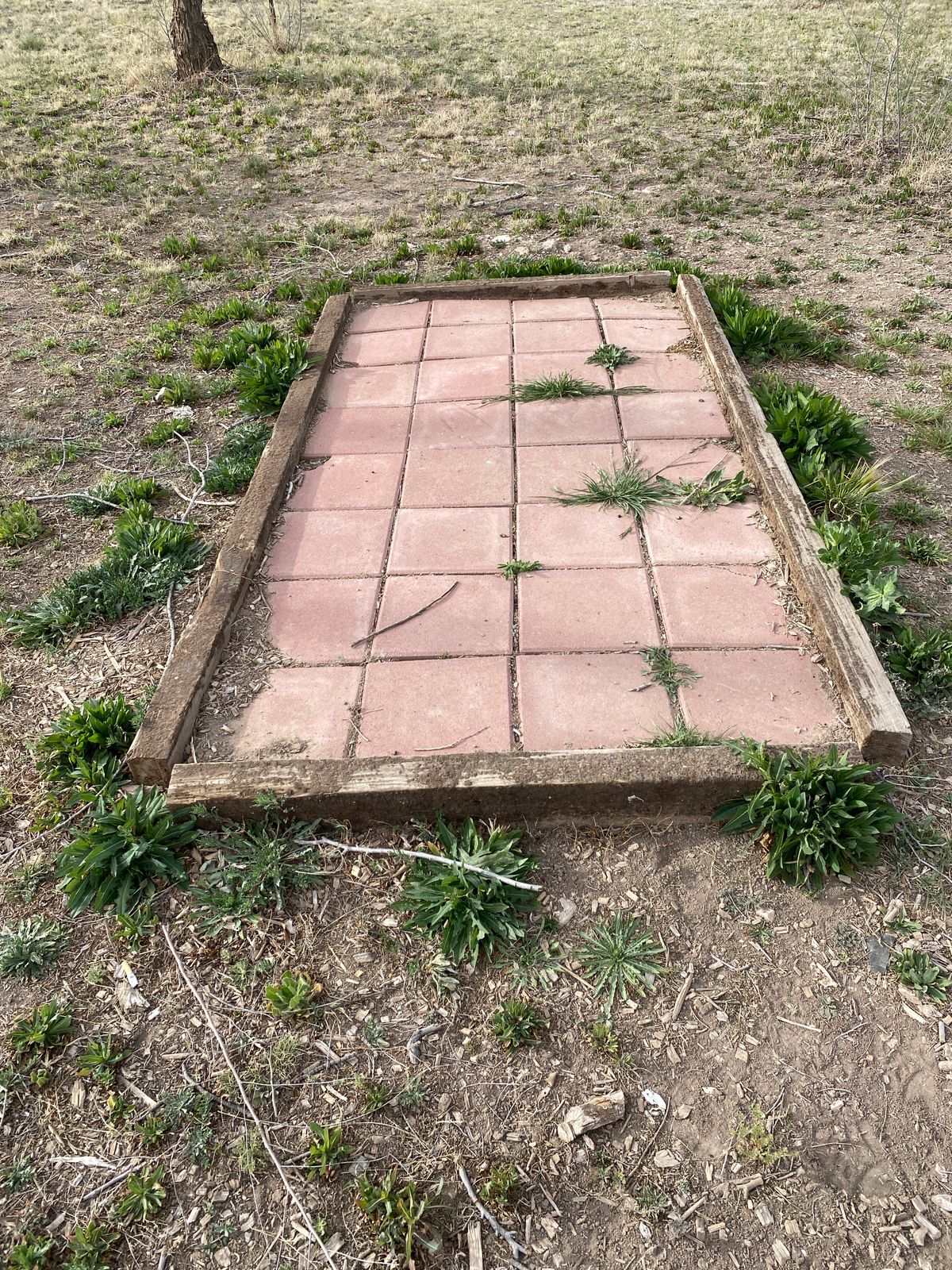 Tee pad for basket 1.