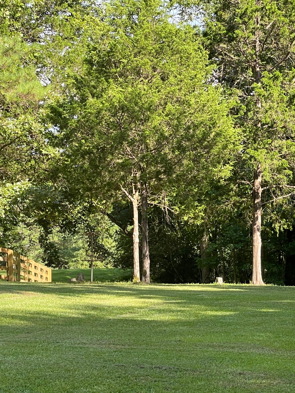 Long drive leading to a basket near the end of property