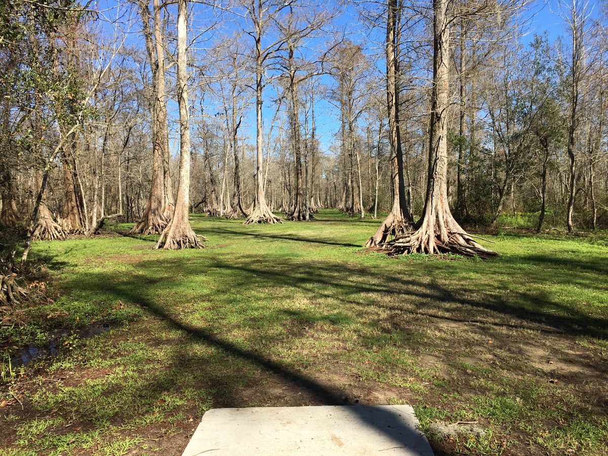 Hole 4 Red Tee