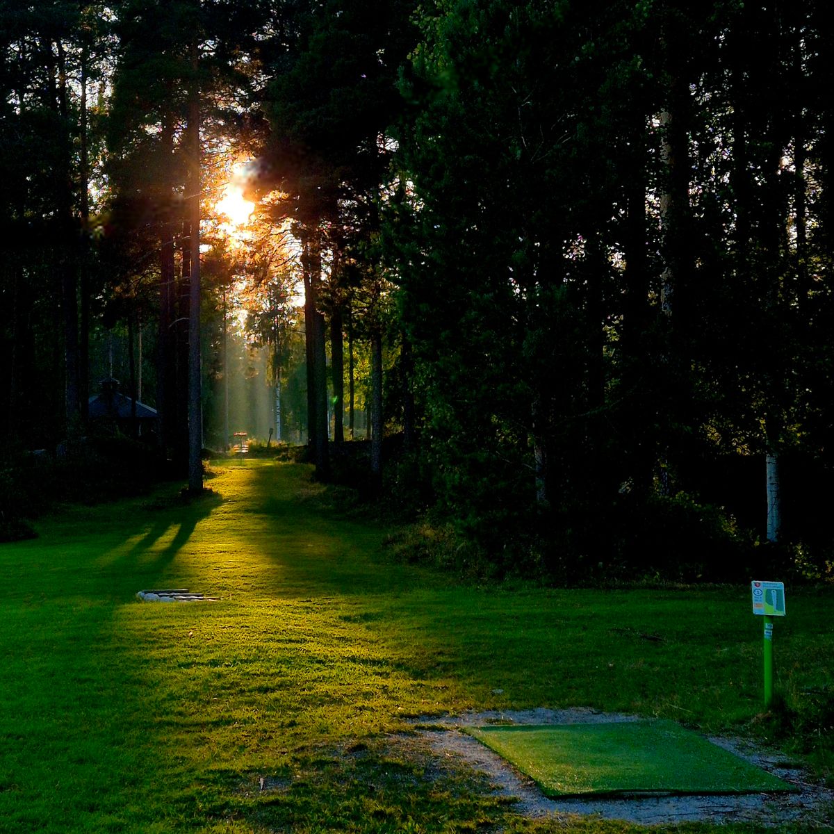 Follow the golden path
