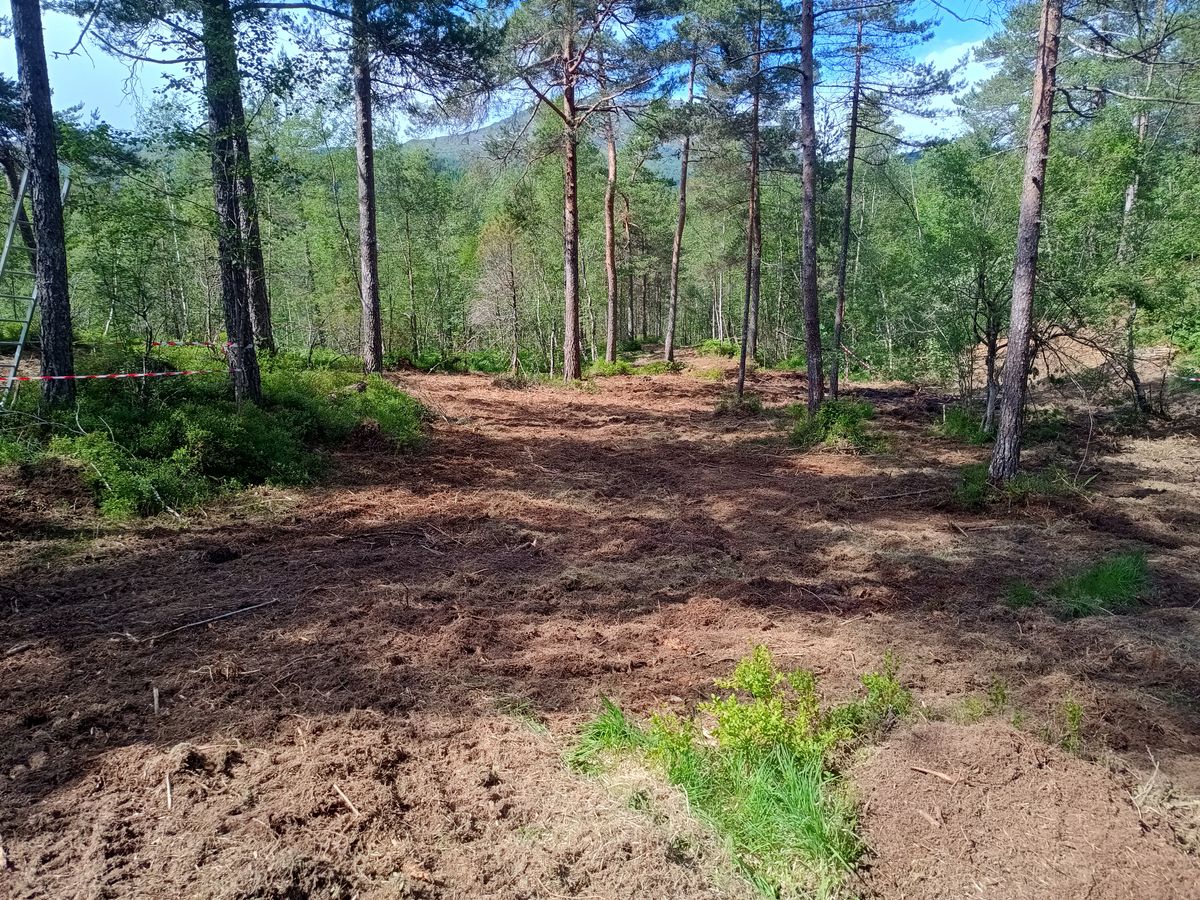 Looking back at the tee of hole 4
