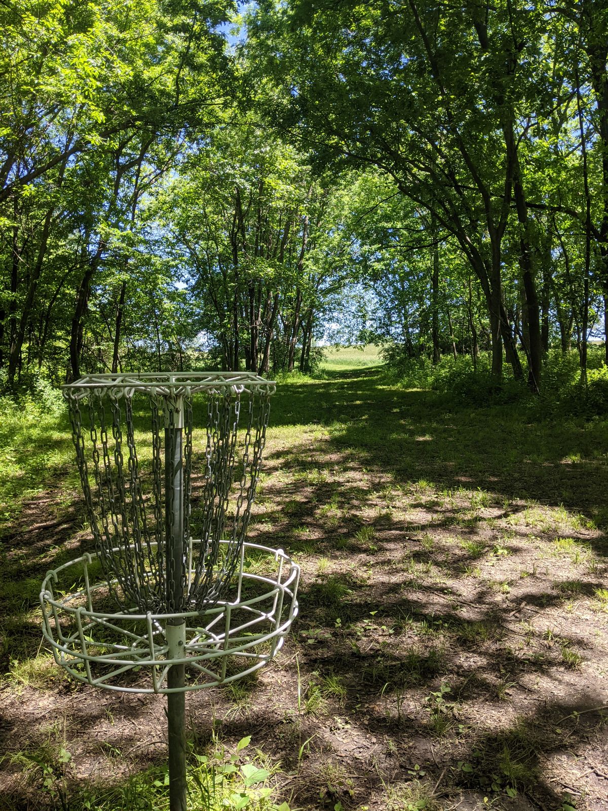 Basket 11 to fairway view