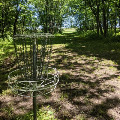 Basket 11 to fairway view