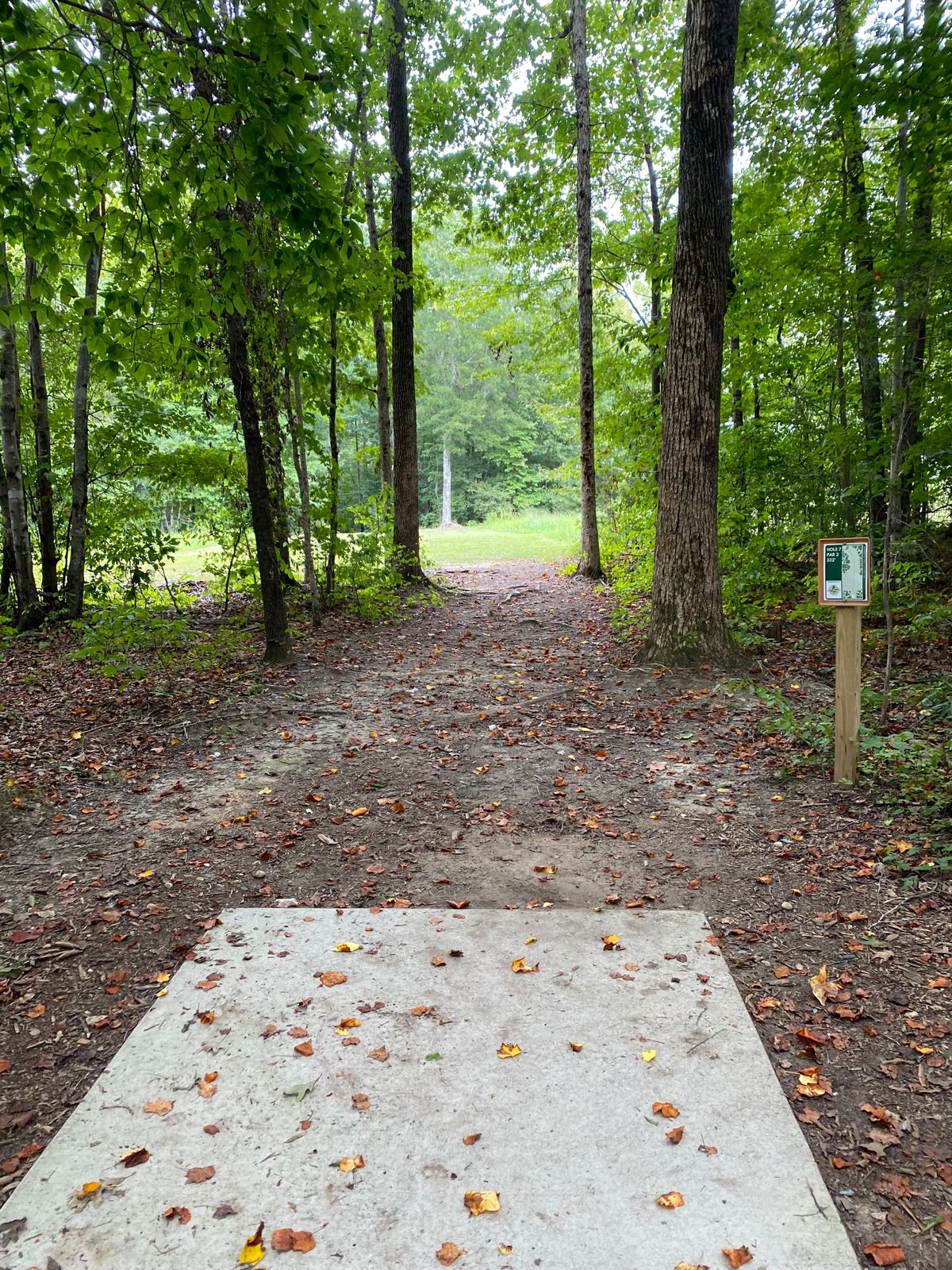 Hole 7