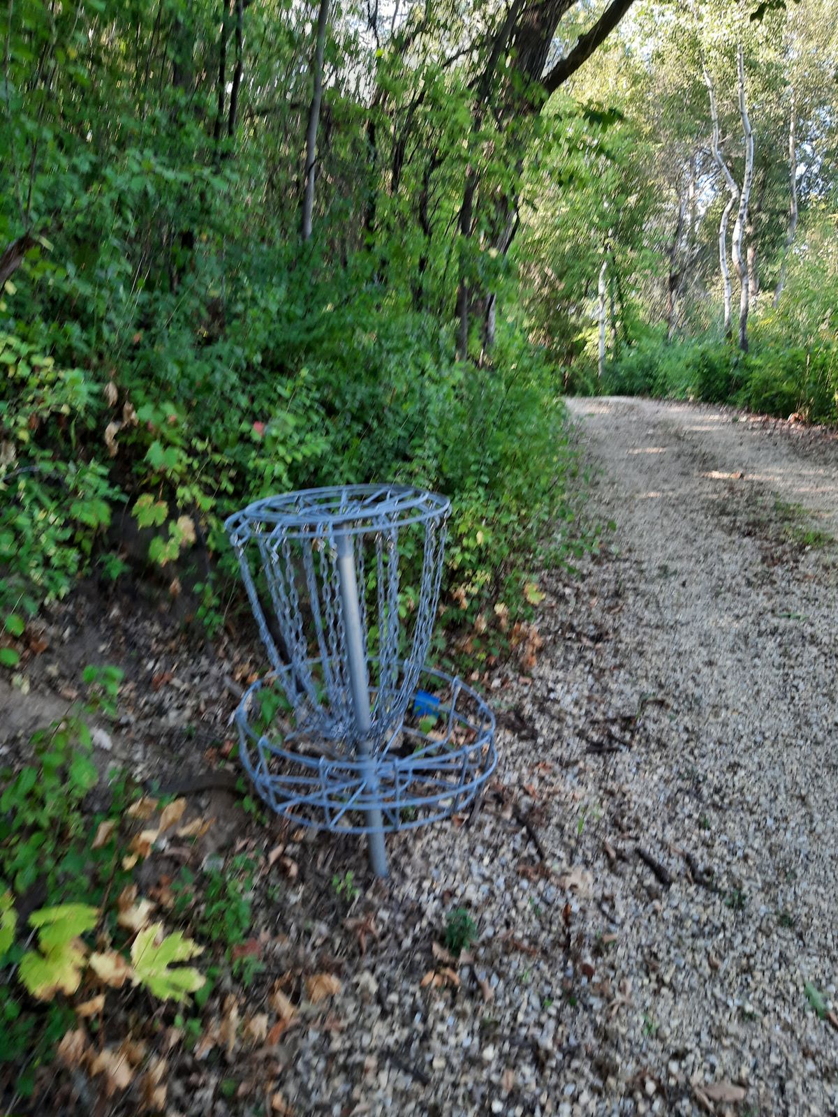 Hole. 8 up up drive way that isn't taken care off. And there is no tee pad