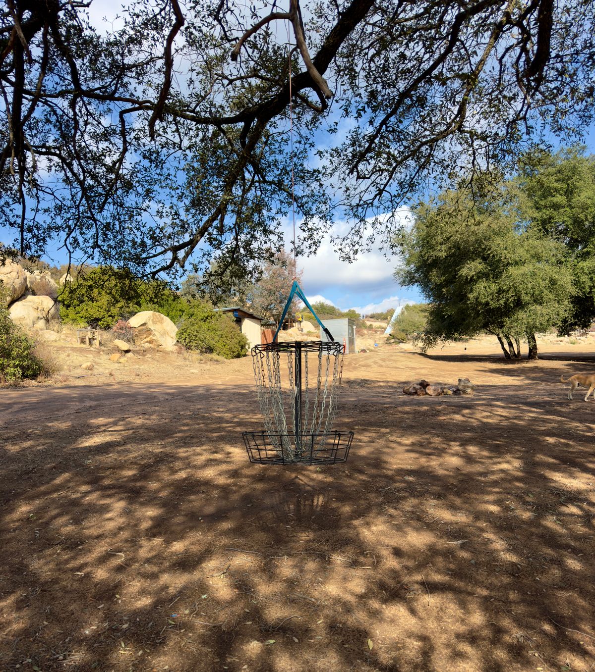 Hanging basket, hole 18