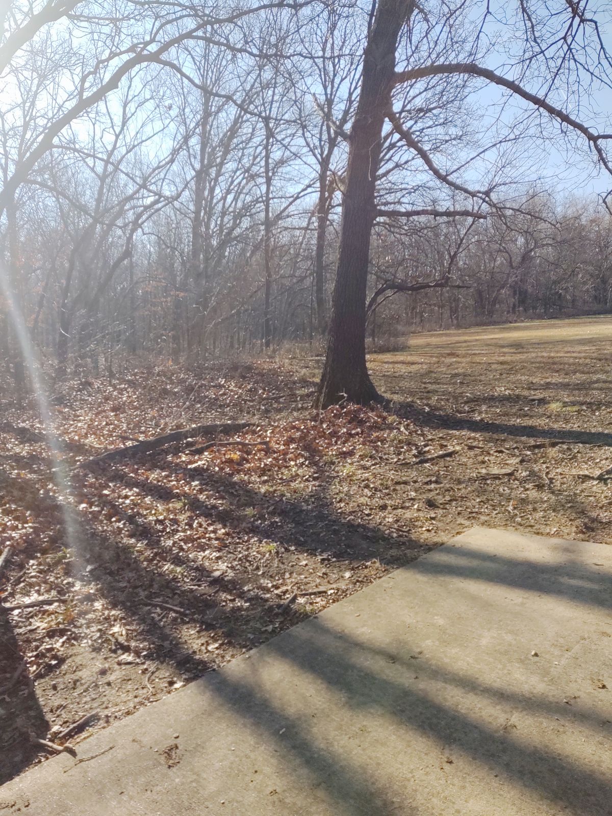Hole 12 tee