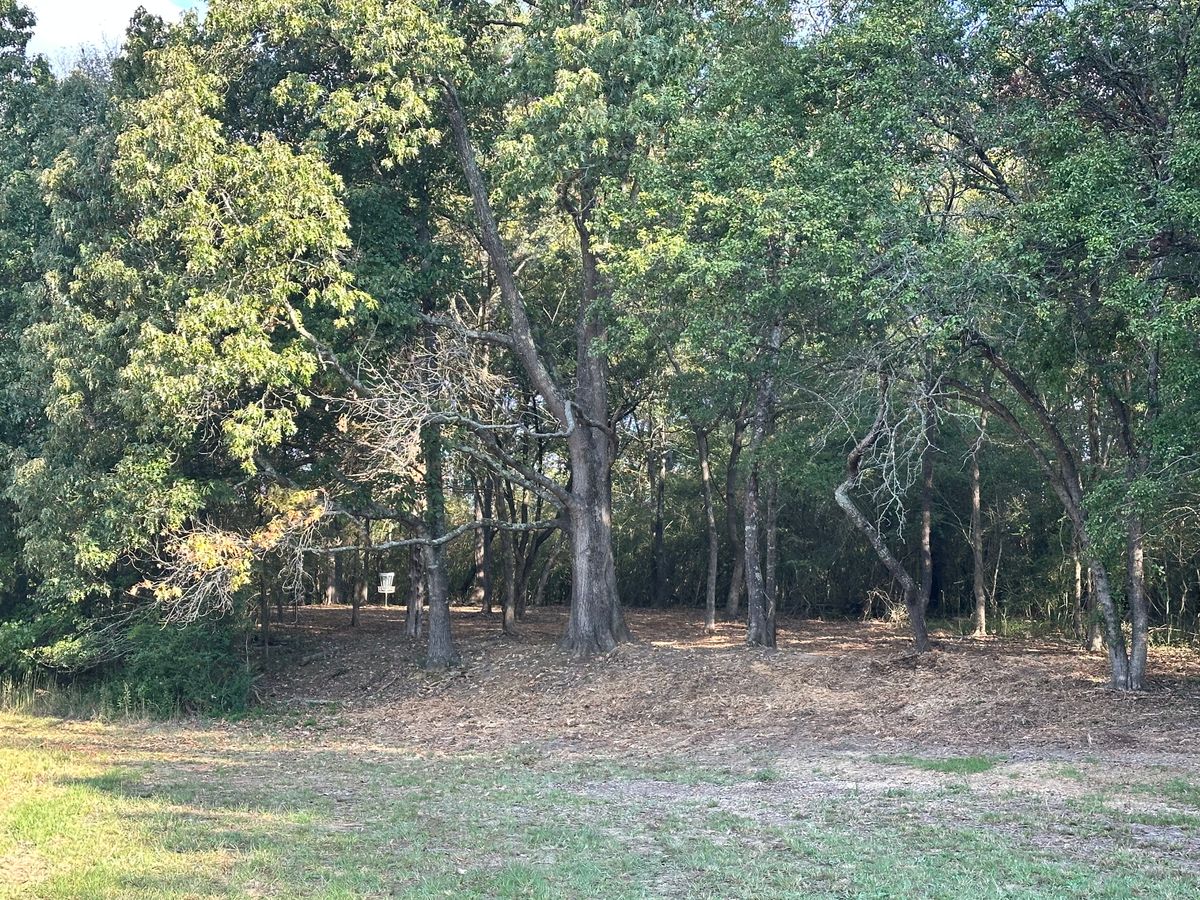 Hole 8