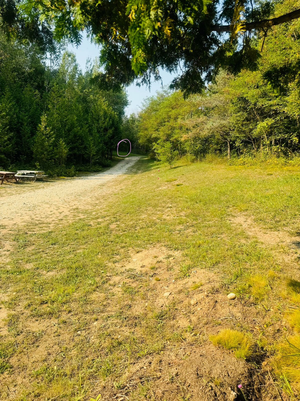 Hole 1 from the tee