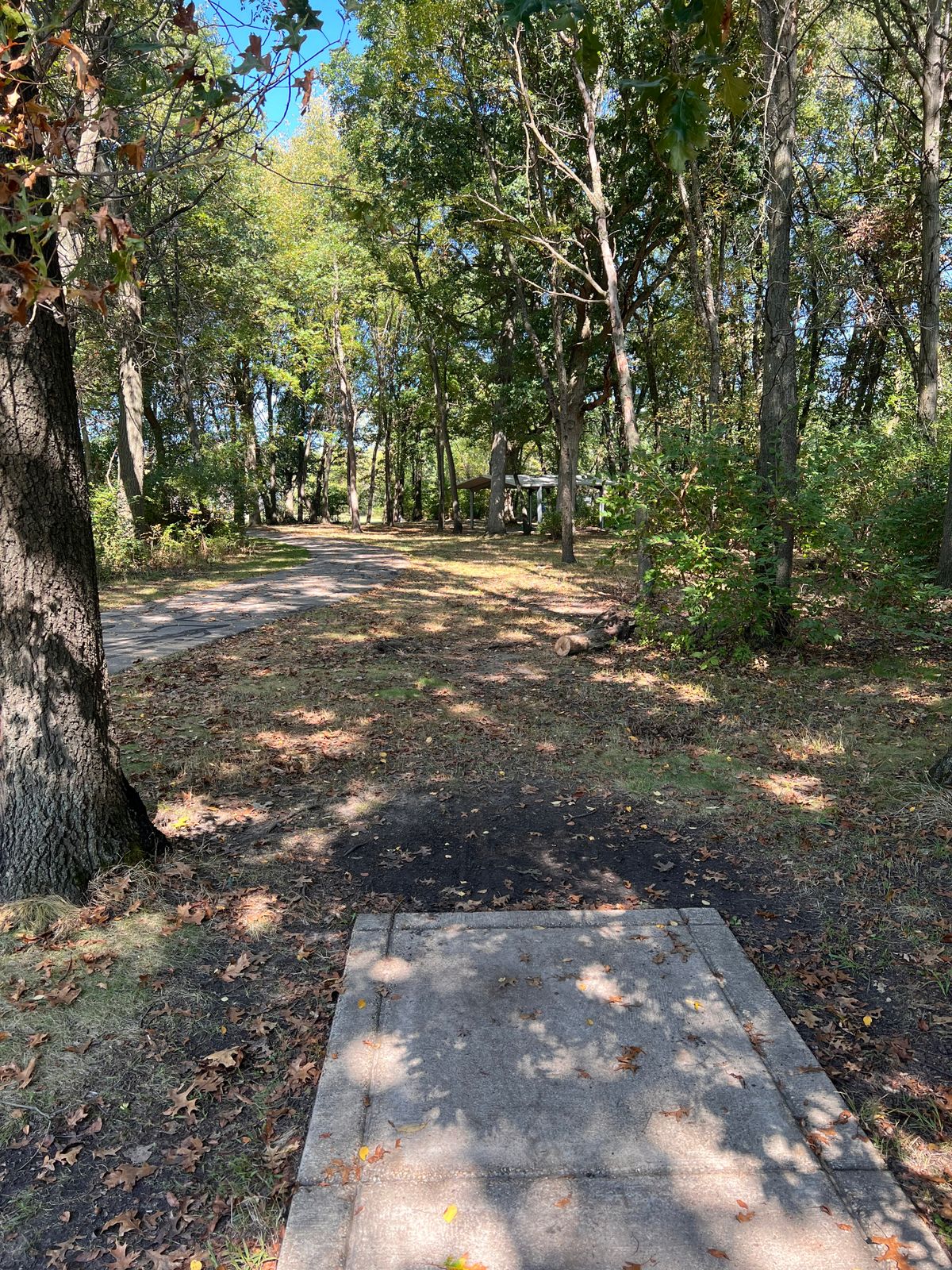 Hole 8